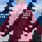 Pennsylvania Hoodies