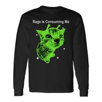 Rage Is Consuming Me Alien Cat Silly Staring Cat Meme Long Sleeve T-Shirt - Thegiftio UK