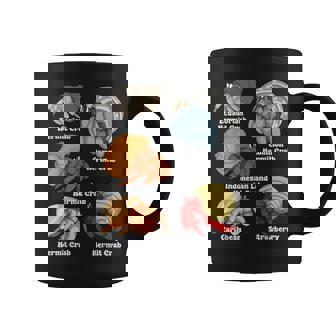 Hermit Crab Lover Kids Aquarium Species Hermit Crabs Coffee Mug | Mazezy