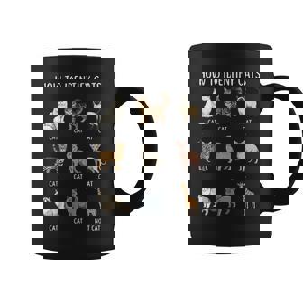 How To Identify Cats Coffee Mug | Seseable CA