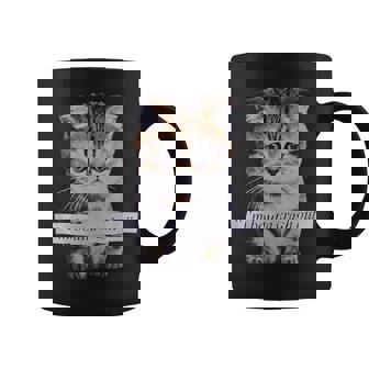 I'm Boutta Crash Out Sarcasm Quotes Meme Cat Humorous Coffee Mug | Mazezy