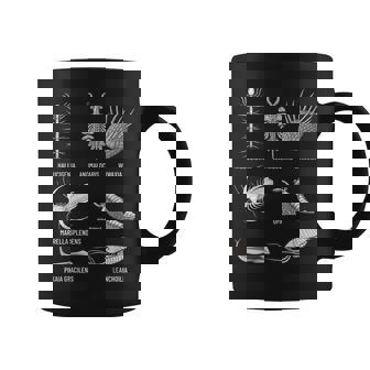 カンブリア紀 生き物 化石 古美術 進化 科学 恋人 コーヒーマグ - Kawaiitshirt