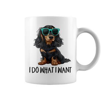 Do What I Want Black Long Haired Dachshund Lover Coffee Mug - Thegiftio