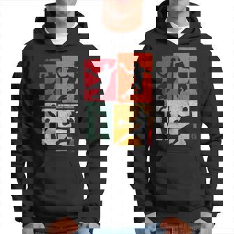 Balonmano Deporte Entrenador Torneo Balonmanointage Jugado Sudadera - Regaloses