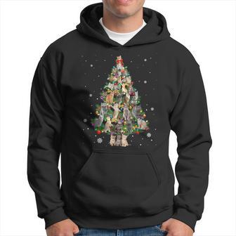 Cat Katze Weihnachten Katzen Baum Lichter Lustiges Geschenk Kapuzenpullover - Geschenkecke