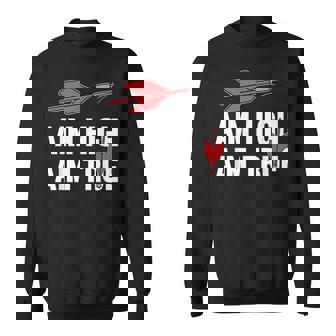 Aim High Aim True Lawn Darts Sweatshirt Unisex | Mazezy