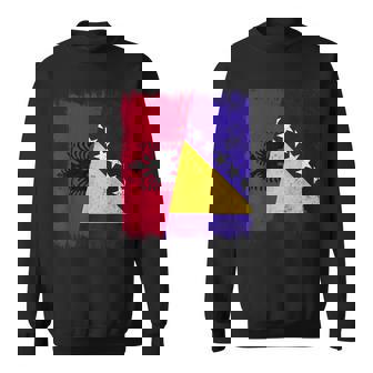 Albania Bosnia And Herzegovina Half Flag Sweatshirt Unisex | Mazezy