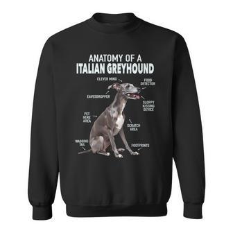 Anatomy Of A Italian Greyhound Sweatshirt - Thegiftio UK
