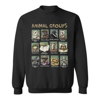 Animal Groups Unveiled Educational Wildlife Sweatshirt - Thegiftio UK