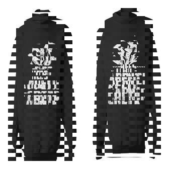 The Best Apprentice Carpenter Sweatshirt Unisex | Mazezy