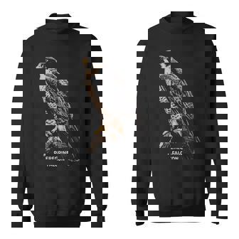 Bird Of Prey Peregrine Falcon Sweatshirt | Mazezy