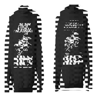 Birds Ornithologist Birdwatching Ornithology Birdwatcher Sweatshirt Unisex | Mazezy