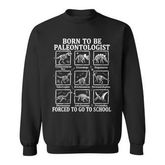 Born To Be Paleontologist Dinosaur Fossil Chart School Sweatshirt - Thegiftio UK