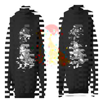 Boxer Dog Christmas Lights Pajama Santa Xmas Pet Dog Lover Sweatshirt Unisex | Mazezy
