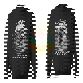 Camden State Park Minnesota Hiking Trail Adventure Bear Sweatshirt Unisex | Mazezy