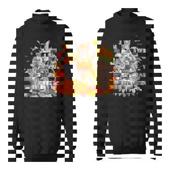 Cat Kitten Pumpkin Fall Autumn Thanksgiving Cat Lover Sweatshirt Unisex | Mazezy