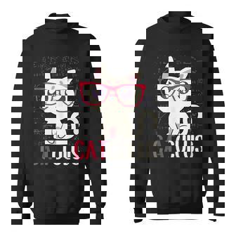 Catculus Mathematical Equations Cat Math Student Teacher Tank Top Sweatshirt Unisex | Mazezy