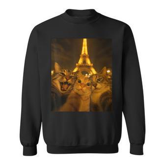 Cats Selfie In Paris Cats Visiting Paris Travelling Cats Sweatshirt | Seseable UK