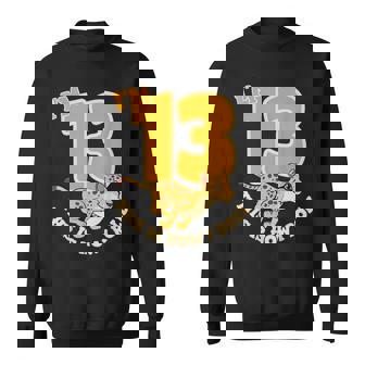 Cheetah 13th Birthday Party Jungle Safari Wild Cat Wildlife Sweatshirt Unisex | Mazezy