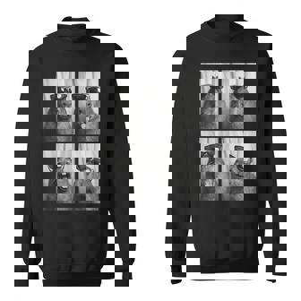 Cool Capybara With Sunglasses PhotoBooth Rodent Animal Sweatshirt Unisex | Mazezy