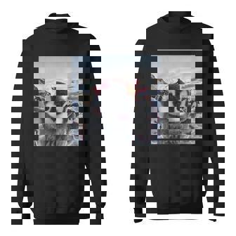 Cute Penguin Taking Selfie Animal Meme Bird Lover Graphic Sweatshirt Unisex | Mazezy