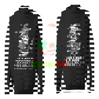 Cute Raccoon Merry Christmas Day In My Snowy Bowling ERA Sweatshirt Unisex | Mazezy