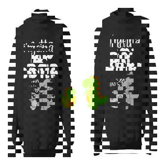 Dinosaurs Baby Brother Reveal I'm Getting A Baby Brother Sweatshirt | Mazezy