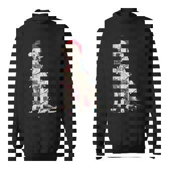 Dogo Argentino Christmas Graphics Dog Lights Lover Sweatshirt Unisex | Mazezy