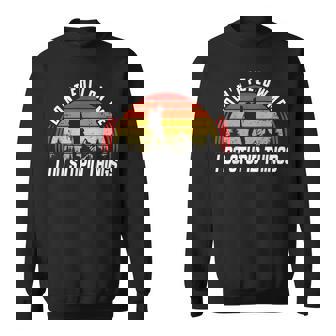 Don't Follow Me I Do Stupid Things Mountaineering And Hiking Sweatshirt - Thegiftio