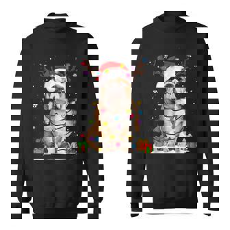 English Bulldog Dog Christmas Lights Xmas Sweatshirt Unisex | Mazezy