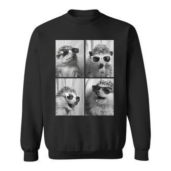 Entzückenden Lustige Igelonnenbrille Tierfoto Waldtier Sweatshirt - Seseable