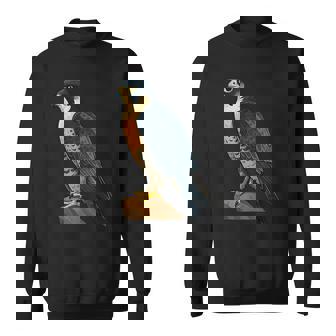 Falconry Equipment Falcon Peregrine Sweatshirt Unisex | Mazezy