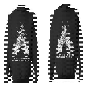 Fruit Fly Drosophila Melanogaster Forcientists スウェットシャツ - Kawaiitshirt