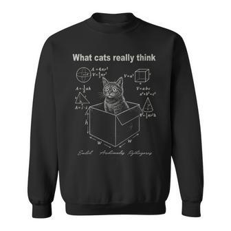 Cat In Box Math Humor For Cat Lovers Sweatshirt | Seseable UK