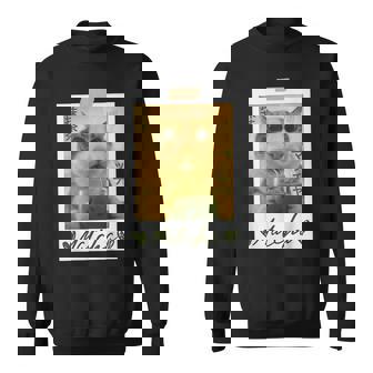 Cat Drinking Matcha Cute Japanese Anime Cat Graphic Sweatshirt | Seseable FR