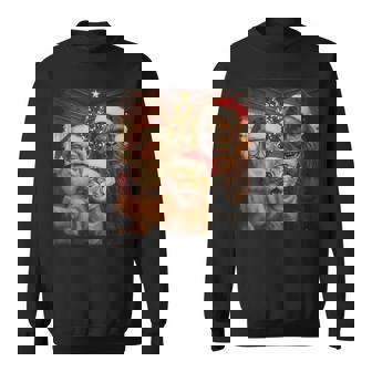 Cat Selfie With Sasquatch And Santa Christmas Boys Men Sweatshirt | Mazezy