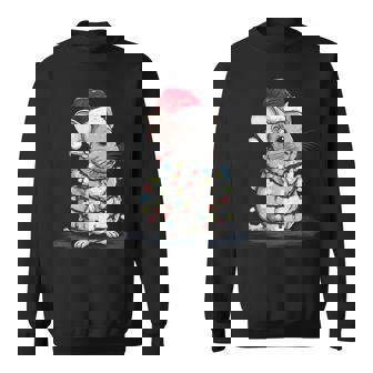 Chinchilla Christmas Graphics Animal Lights Lover Sweatshirt | Mazezy