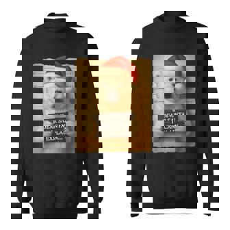 Christmas Polar Bear Cute Polar Bear Santa Hat Sweatshirt - Thegiftio