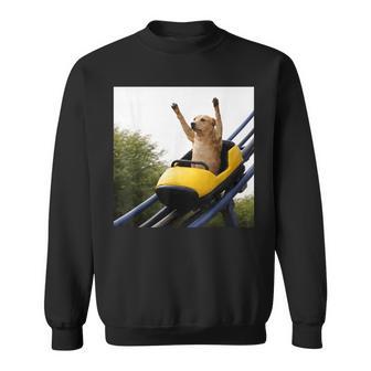 Labrador Dog Riding Roller Coaster Meme For Dog Lovers Sweatshirt - Monsterry