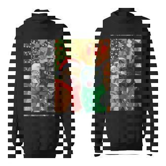 Meme Cat Taking A Selfie Christmas Xmas Lights Holiday Sweatshirt | Mazezy