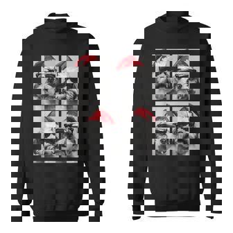 Shih Tzu With Sunglasses Santa Hat Cute Christmas Dogs Sweatshirt - Monsterry