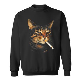 Smoking Cat Cigarette Kitten Meme Stupid Brainrot Sweatshirt - Thegiftio UK