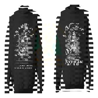 Gebhard Woods State Park Illinois Hiking Trail Raccoon Sweatshirt Unisex | Mazezy