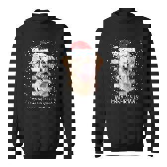 Golden Retriever Dog Santa Christmas Lights Xmas Boys Sweatshirt | Mazezy