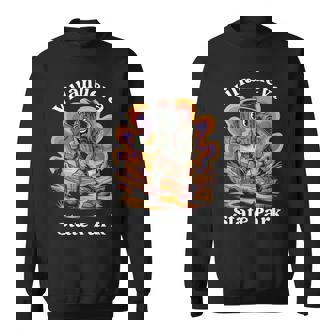 Groovy Villanueva State Park New Mexico Hiking Cactus Sweatshirt Unisex | Mazezy