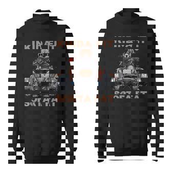 Gun Cat Graphic Kitty With Pistols Humor Tee Sweatshirt Unisex | Mazezy