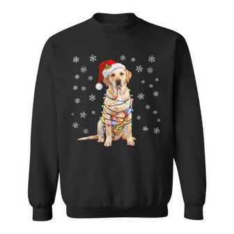 Holiday Santa Hat & Christmas Light Xmas Labrador Dog Sweatshirt - Thegiftio UK