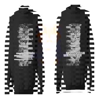 I'm Boutta Crash Out Sarcasm Quotes Meme Cat Humorous Sweatshirt | Mazezy