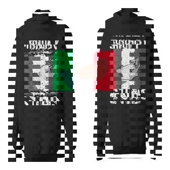 Italy Flag Surrounded By Stunads Patriot Italian Root Italia Sweatshirt Unisex | Mazezy