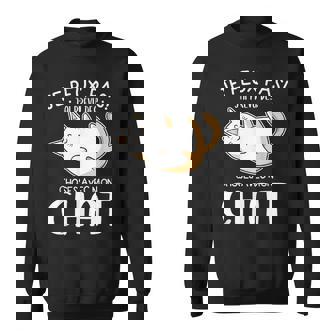 Je Peux Pas J'ai Prévu Des Choses Avec Mon Chat Sweater e - Cadeauxyz